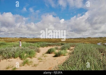 Salice strisciante (Salix repens ssp. dunensis, Salix dunensis), donna nel paesaggio di dune della costa del Mare del Nord, Danimarca, Juetland, il tuo parco nazionale Foto Stock