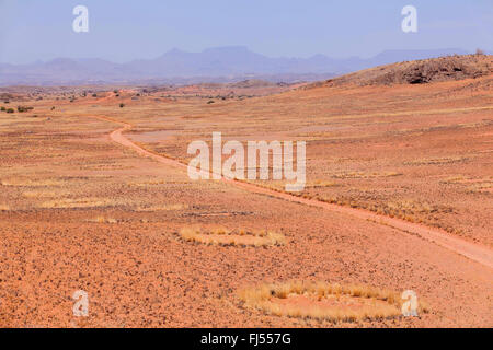 Cerchi di fata e via nella stagione secca, Namibia, Damaraland, Khorixas Foto Stock