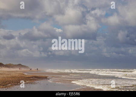 Costa del Mare del Nord durante una tempesta, Danimarca, Sondervig Ringkobing, Foto Stock