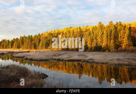 Estate Indiana in Algonquin Provincial Park, Canada, Algonquin Provincial Park, Opeongo Foto Stock