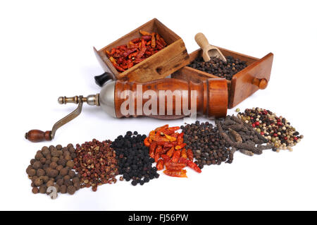 Macinapepe con diversi tipi di pepe: pimento, pepe Szechuan, Tasmanian pepe, peperoncino, pepe cubeb, lungo il pepe, il peperoncino colorato Foto Stock