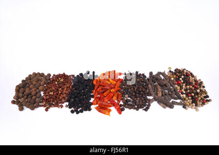 Diversi tipi di pepe: pimento, pepe Szechuan, Tasmanian pepe, peperoncino, pepe cubeb, lungo il pepe, il peperoncino colorato Foto Stock