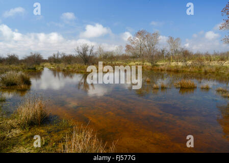 Floodplain paesaggio al delta del Danubio, Romania, Dobrudscha, Biosphaerenreservat Donaudelta, Gheorgh SfÔntu Foto Stock