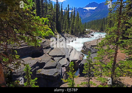 Mistaya Canyon nelle Montagne Rocciose, Canada, Alberta, il Parco Nazionale di Banff Foto Stock