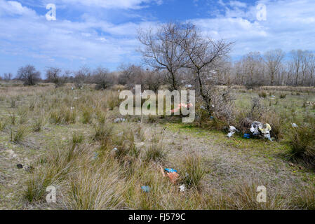 Inquinamento ambientale al delta del Danubio, Romania, Dobrudscha, Biosphaerenreservat Donaudelta, Gheorgh SfÔntu Foto Stock