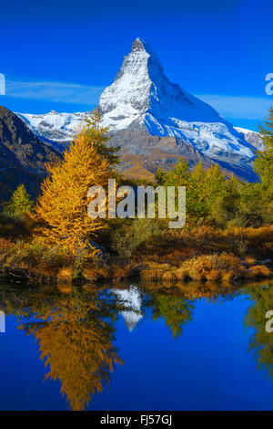 Il Cervino e larici il mirroring sul lago Grindji, Svizzera Vallese Foto Stock