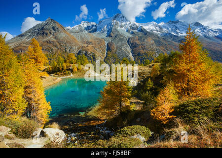 Lac Bleu, Grande Dent de Veisivi, Dent de Perroc, Aiguille de la Tsa, Svizzera Vallese Foto Stock