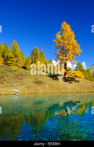 Lac Bleu, Dent de Perroc, Vallese, Svizzera Foto Stock