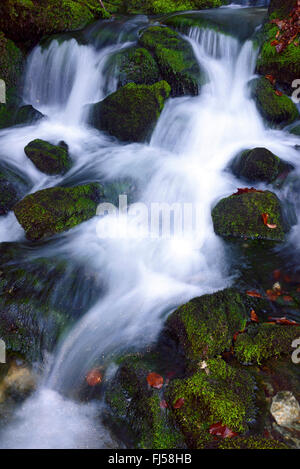 Mountain Creek con cascata, Francia, Savoie, Haute Savoie, Leschaux Foto Stock