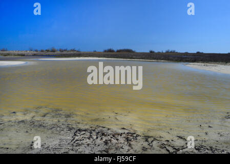 Fondale basso stagno dopo un allagamento nelle dune del delta del Danubio, Romania, Dobrudscha, Biosphaerenreservat Donaudelta, Gheorgh SfÔntu Foto Stock