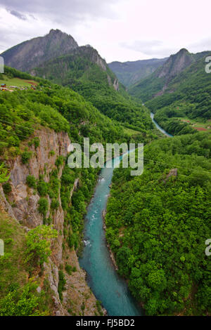 Vista dal ponte di Tara al fiume Tara canyon e il più lungo e più profondo canyon in Europa, Montenegro, Parco Nazionale Durmitor Foto Stock