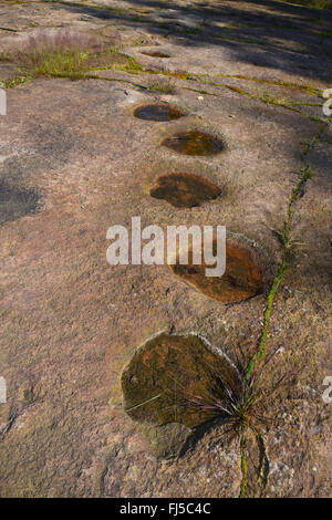 Dinosauro su pietra arenaria, Germania, Bassa Sassonia, Obernkirchener Sandsteinbrueche, Obernkirchen Foto Stock