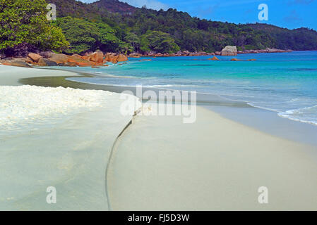 Anse Lazio beach, Seychelles, Praslin Foto Stock