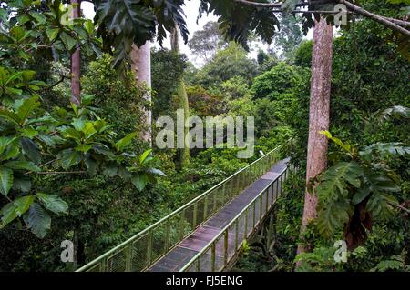Il pontile di Sepilok foresta pluviale, Malesia, Borneo Foto Stock