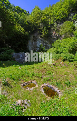 Ululone dal ventre giallo, yellowbelly toad, variegato fire-toad (Bombina variegata), man-made stagni per anfibi in ex fossa di pietra, in Germania, in Baviera, il Parco Nazionale della Foresta Bavarese, Donauleiten Foto Stock