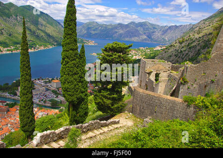 Vista dalla fortezza per la città vecchia e la Baia di Kotor, Montenegro Cattaro Foto Stock