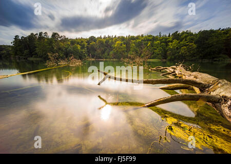 Il lago in tempesta umore, Germania, Brandeburgo, Stechlin, Neuglobsow Foto Stock