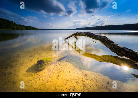 Il lago in tempesta umore, Germania, Brandeburgo, Stechlin, Neuglobsow Foto Stock