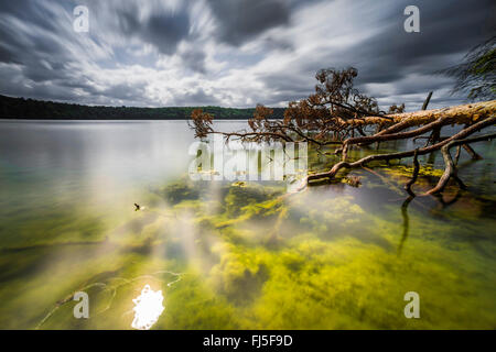 Il lago in tempesta umore, Germania, Brandeburgo, Stechlin, Neuglobsow Foto Stock