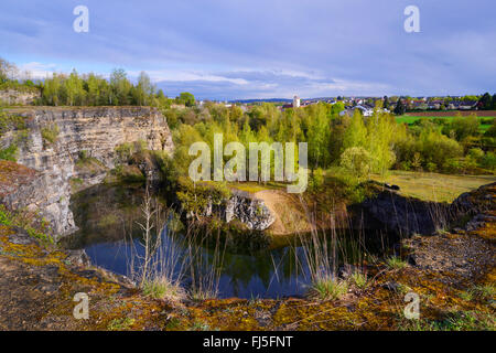 Rinaturato cava di calcare con stagno e facce ripide, GERMANIA Baden-Wuerttemberg, Boeblingen Foto Stock