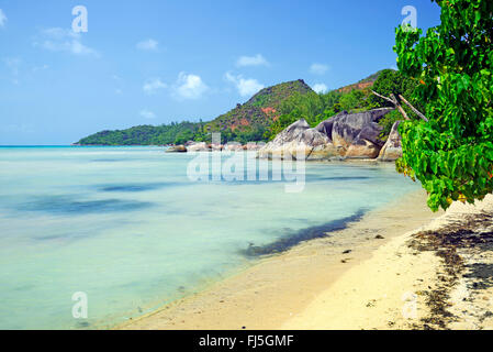 Spiaggia di Anse Takamaka, Seychelles, Praslin Foto Stock