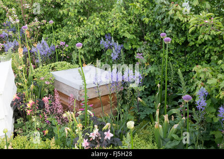 Un piccolo giardino urbano, ideale per la fauna selvatica, con alveare in un fiore Letto per api che piantano di Alliums - Camassia leichtlinii Inghilterra REGNO UNITO Foto Stock