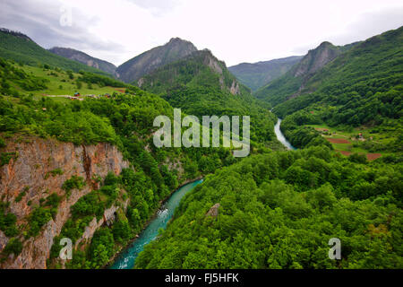 Vista dal ponte di Tara al fiume Tara canyon e il più lungo e più profondo canyon in Europa, Montenegro, Parco Nazionale Durmitor Foto Stock