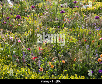 Il Bees Knees a sostegno del Bumblebee Conservation Trust - argento dorato progettato da Martyn Wilson - Malvern festa della primavera Foto Stock