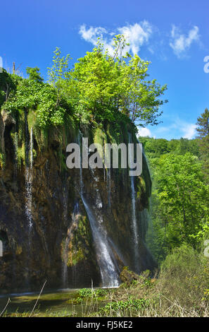 La cascata nel Parco Nazionale dei Laghi di Plitvice, Croazia, il Parco Nazionale dei Laghi di Plitvice Foto Stock