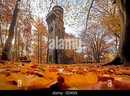 Von-der Heydt-torre in autunno, in Germania, in Renania settentrionale-Vestfalia, Bergisches Land, Wuppertal Foto Stock