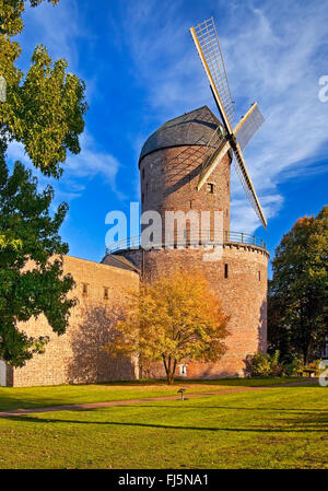 Tower Mill Kempen con mura, in Germania, in Renania settentrionale-Vestfalia, Basso Reno, Kempen Foto Stock