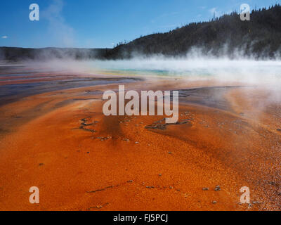 Grand Prismatic Spring, Midway Geyser Basin, USA, Wyoming, il Parco Nazionale di Yellowstone
