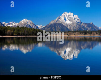 Il lago Jackson con Mt. Moran in background, STATI UNITI D'AMERICA, Wyoming Grand Teton National Park Foto Stock