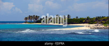 La piccola isola di Petit Tabac in Tobagos Cays, Saint Vincent e Grenadine Foto Stock