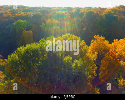 Vista aerea a colori d'autunno foresta, in Germania, in Renania settentrionale-Vestfalia, la zona della Ruhr, Witten Foto Stock