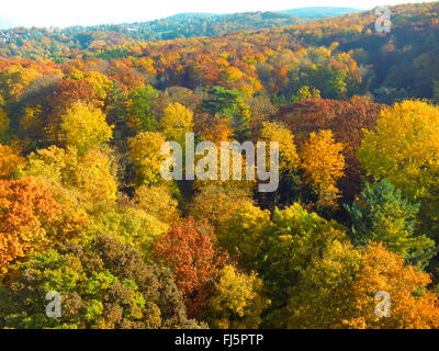 Vista aerea a colori d'autunno foresta, in Germania, in Renania settentrionale-Vestfalia, la zona della Ruhr, Witten Foto Stock