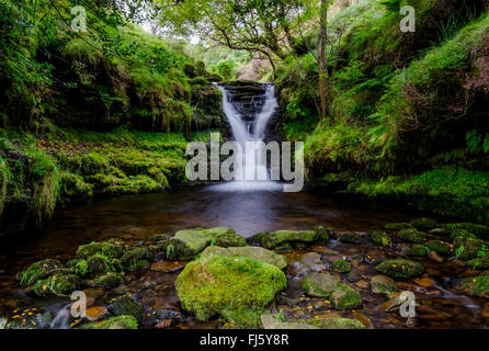 Una cascata nascosta in una piccola coperte di muschio cove vicino Kinder Scout. Foto Stock