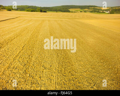 Raccolte campo di grano, aria foto, 23.07.2015, vista aerea , Germania, Baden-Wuerttemberg, Odenwald Foto Stock