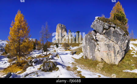 Cinque Torri, Italia, Alto Adige, Dolomiti Foto Stock