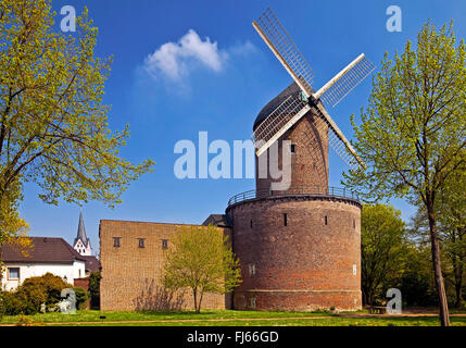 Il mulino a vento di torre Kempen Hessenmuehle con mura, in Germania, in Renania settentrionale-Vestfalia, Basso Reno, Kempen Foto Stock