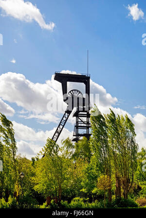 Holland pit telaio della testa, distretto Wattenscheid, in Germania, in Renania settentrionale-Vestfalia, la zona della Ruhr, Bochum Foto Stock