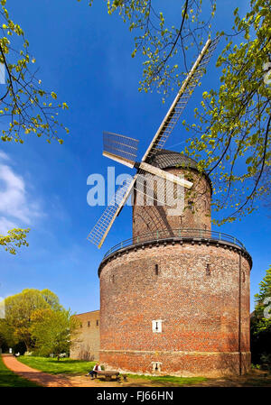 Il mulino a vento di torre Kempen Hessenmuehle con mura, in Germania, in Renania settentrionale-Vestfalia, Basso Reno, Kempen Foto Stock