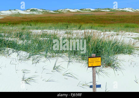 "La protezione delle zone costiere, sconfinamenti di no!" segno sul Mare del Nord le dune, Germania, Schleswig-Holstein, Frisia settentrionale, Sankt Peter-Ording Foto Stock