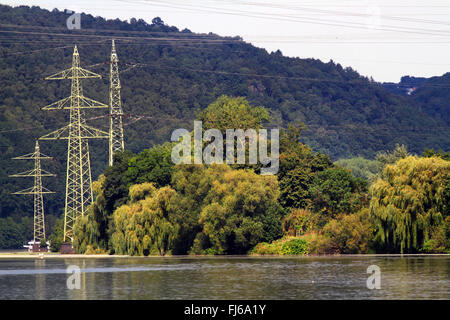 Poli di potenza e la lussureggiante vegetazione sul lungolago Hengsteysee, in Germania, in Renania settentrionale-Vestfalia Foto Stock