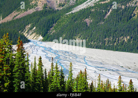 Ghiacciaio al Lago Peyto , Canada, Alberta, il Parco Nazionale di Banff Foto Stock