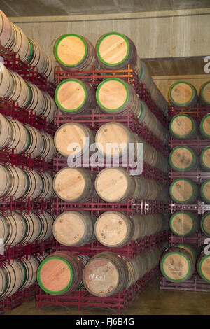 Il vino matura è botti di rovere memorizzati nei rack presso la cantina del Marques de Riscal Rioja,Spagna Foto Stock