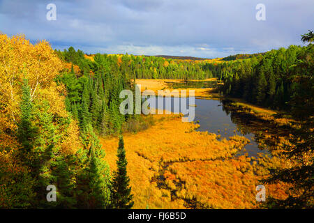 Beaver pond a Algonquin Provincial Park in autunno, Canada Ontario, Algonquin Provincial Park Foto Stock