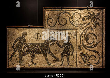 Frammento di mosaico raffigurante tiger e due bestiarii / venatores nell antica Roma, Italia, 100-200 d.c. Foto Stock
