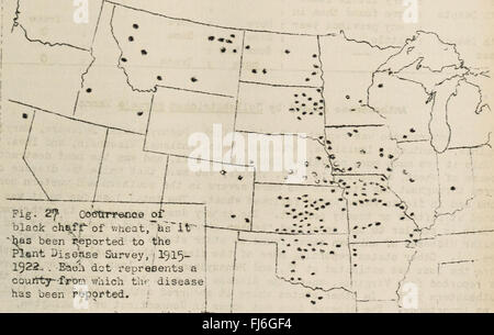 Le malattie dei cereali e colture foraggere negli Stati Uniti nel 1922 (1923) Foto Stock