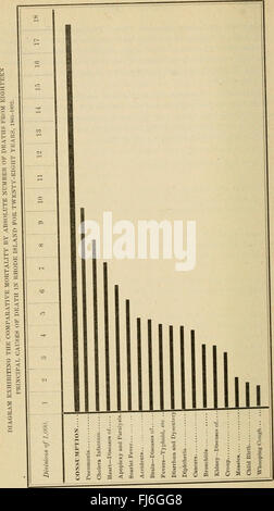 Relazione annuale del Consiglio di stato di salute dello stato di Rhode Island, per l'esercizio chiuso (1893) Foto Stock